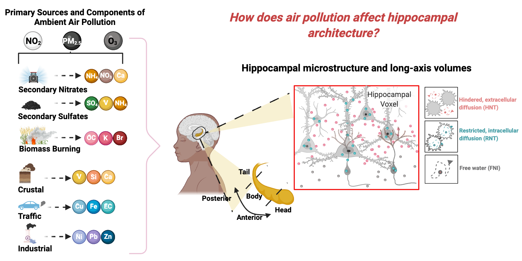 Air pollution and hippocampal structure
