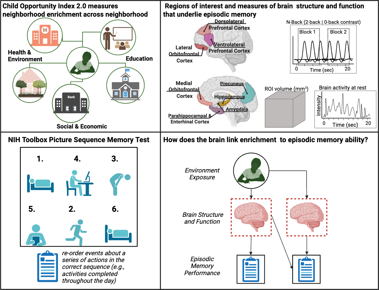 Child Opportunity Index and brain-behavior modeling